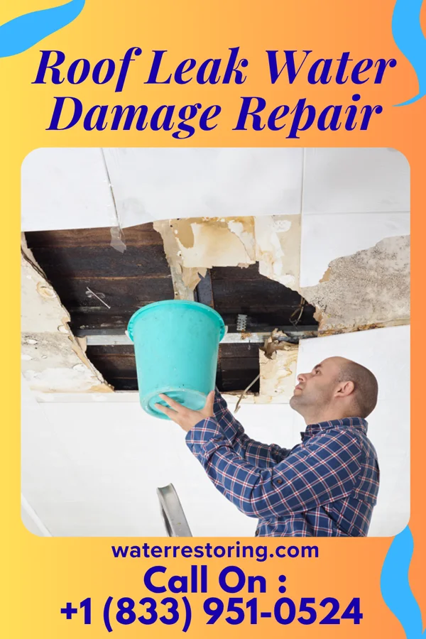 Roof Leak Water Damage Repair in La Conner, WA